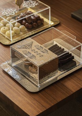 Plexi Box with Silver Hammered Metal Tray