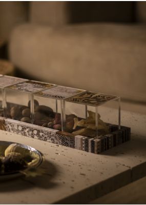 Decoupaged Tray with Plexi Boxes: Set of 6 